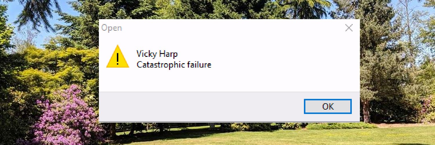 Vicky Harp banner