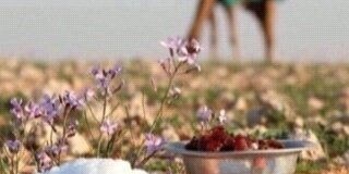 بندر براك الميموني banner