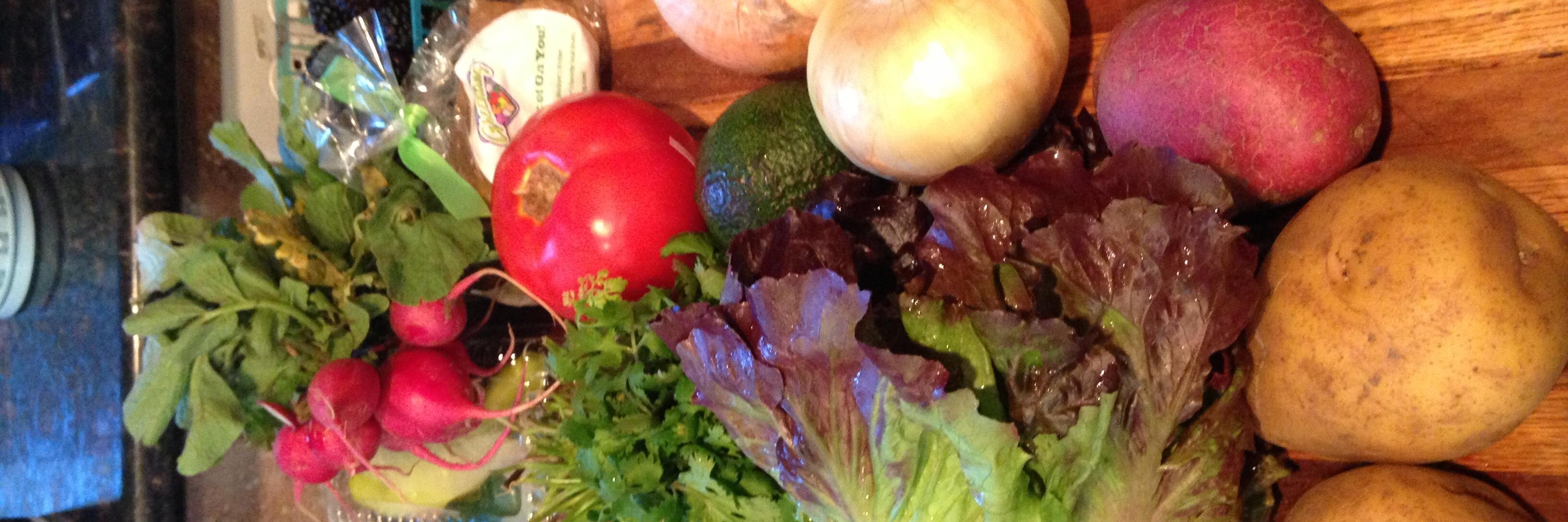 Brenda Stoner banner