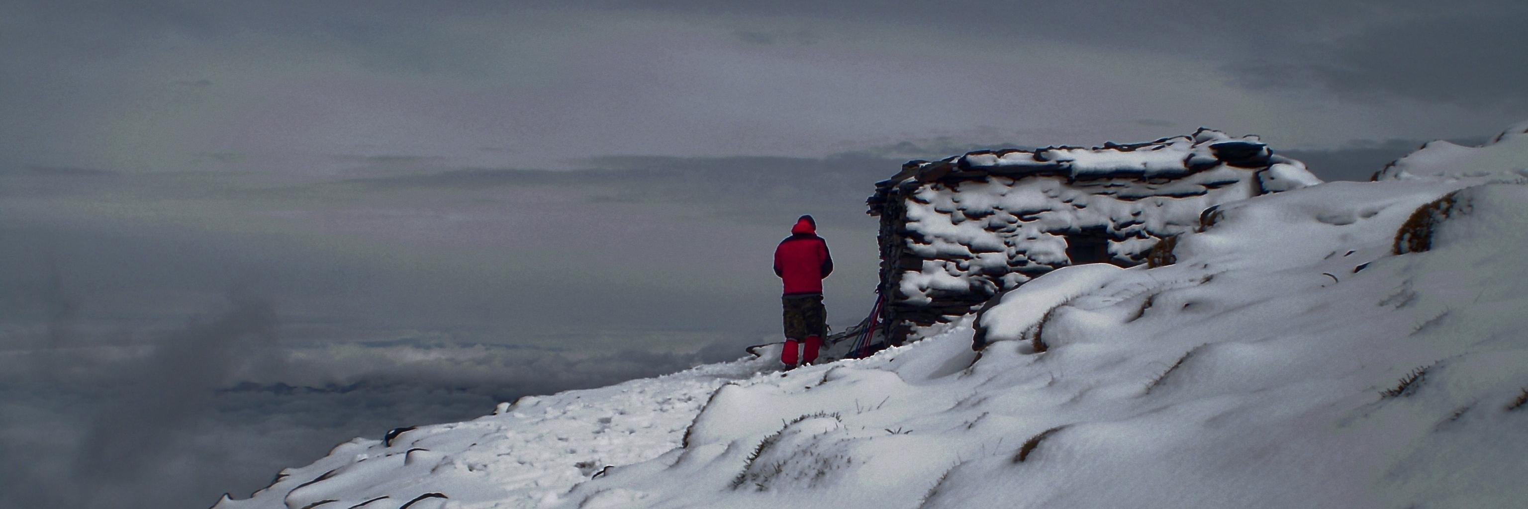 Alberto Rodríguez banner