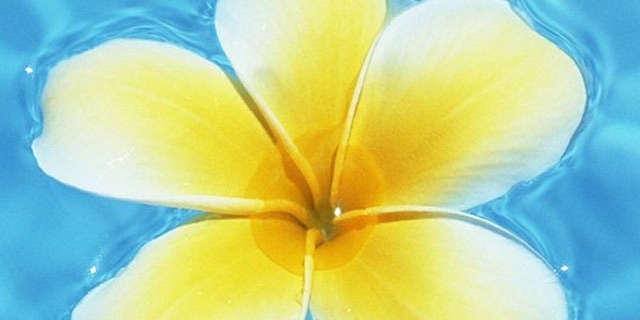 AshleyN8914's profile banner image