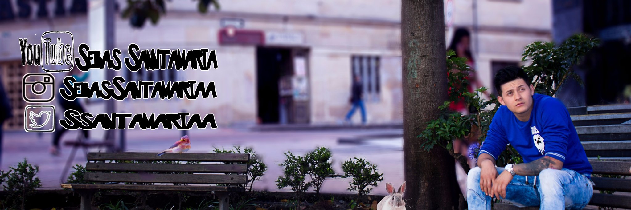ssantamariaa's profile banner image