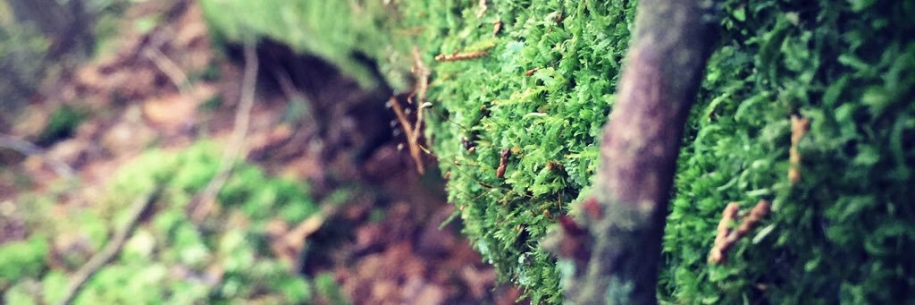 mikkiNik_'s profile banner image