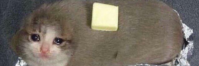 thewhiterbean's profile banner image