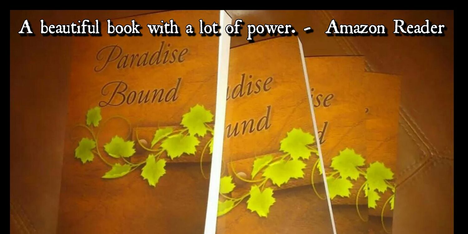 bound_carrie's profile banner image