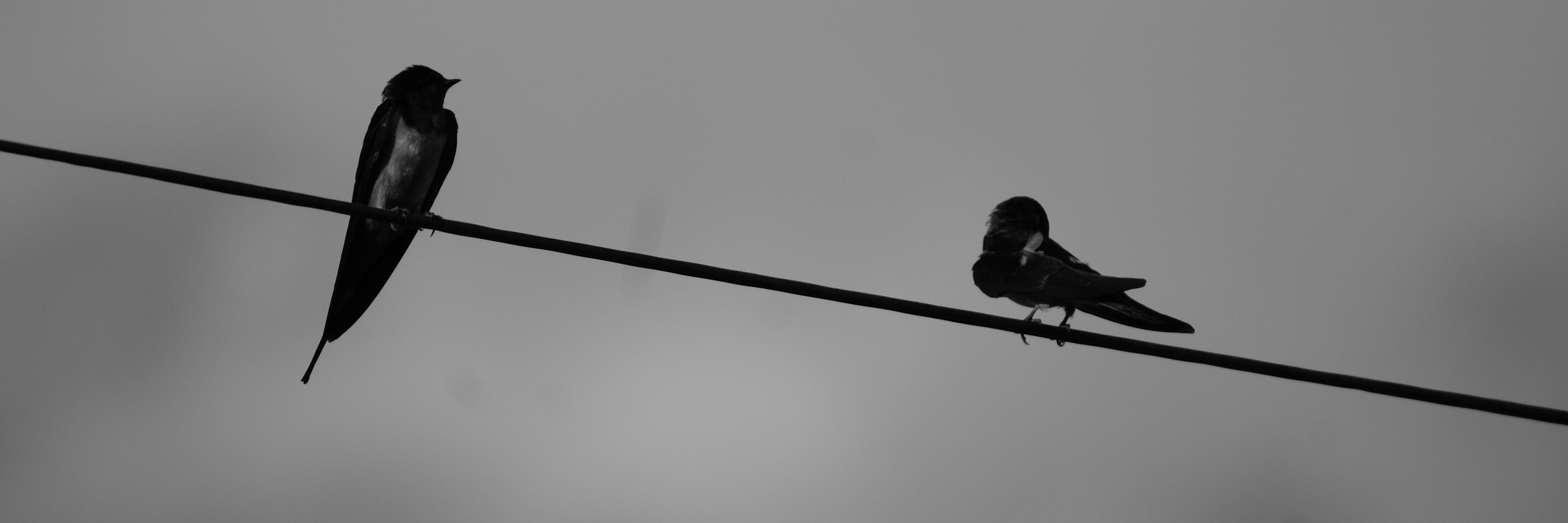 laertesteruel's profile banner image