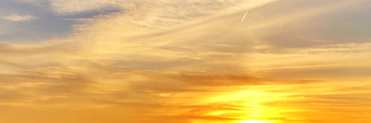 TracyZamarron's profile banner image