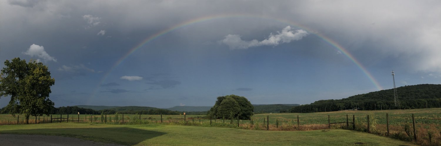 Julie ann banner