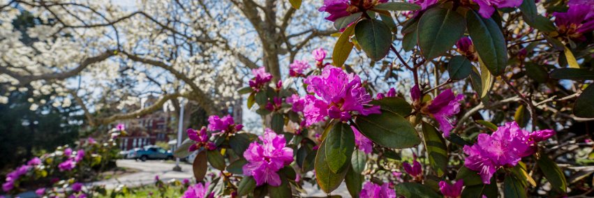 UNH Extension banner