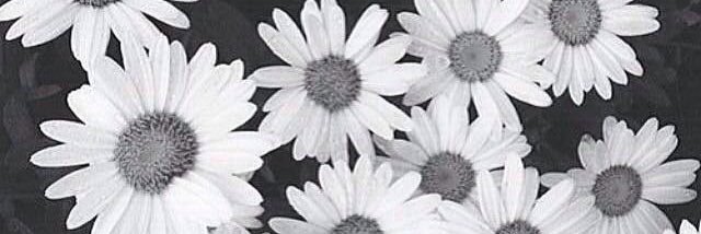 __r37's profile banner image
