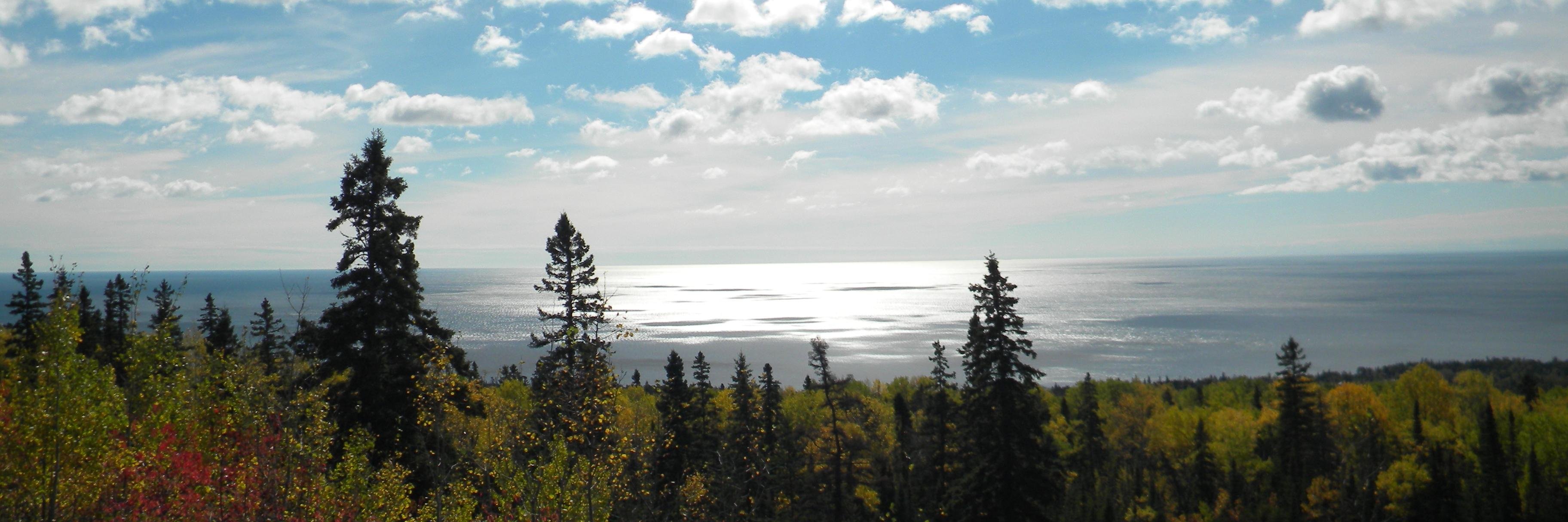 Sharon Theimer banner