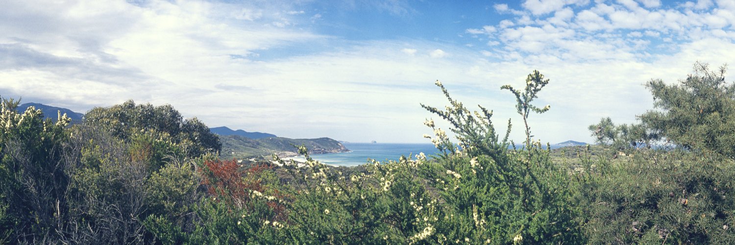 terrawellington's profile banner image