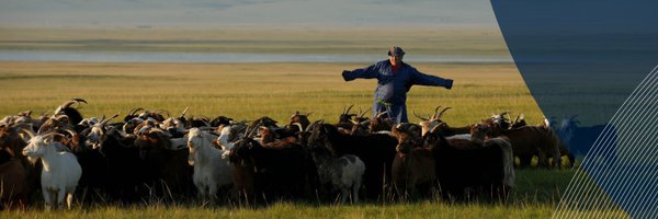 IFC_org Profile Banner