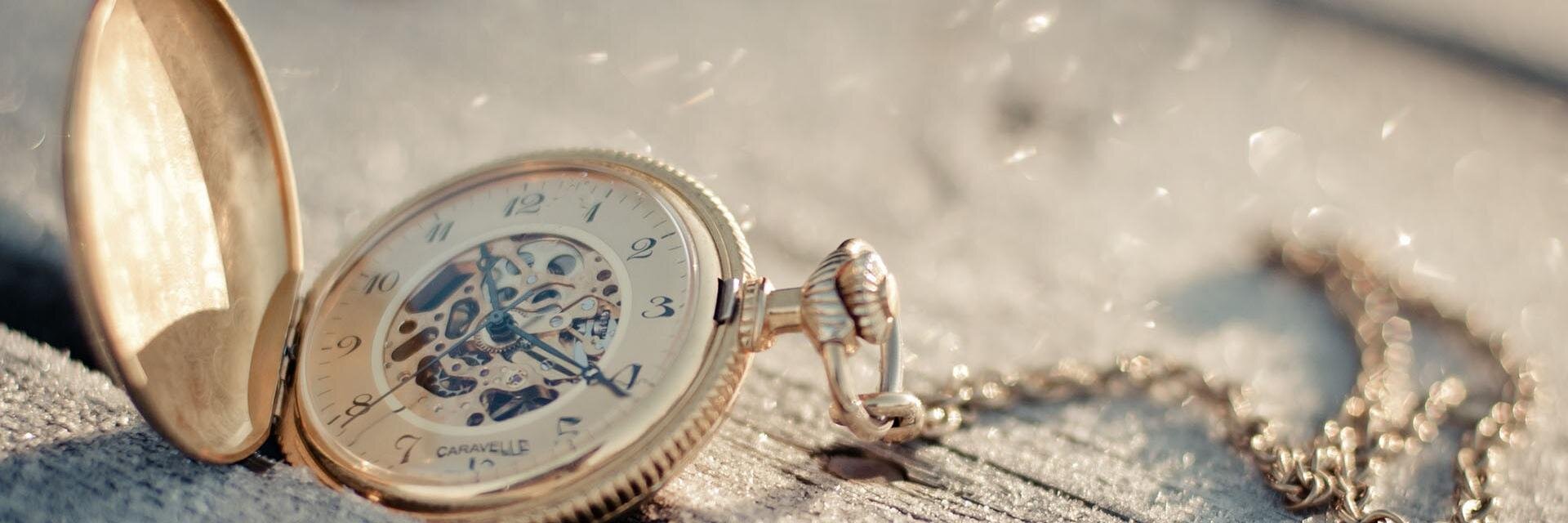 Carolina Sobe Fans™ banner