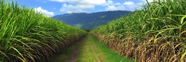 cocktailwonk Profile Banner