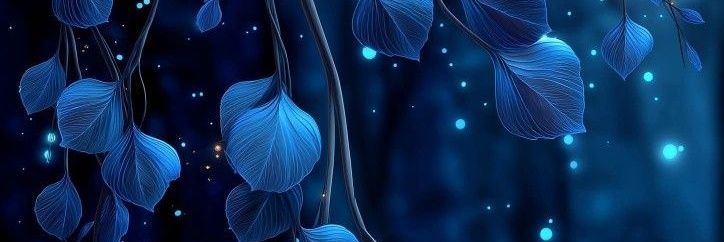 Moroscafee's profile banner image