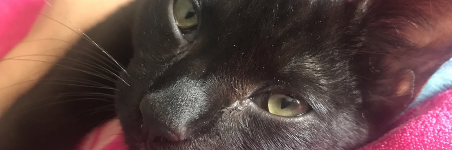 httpbruna_'s profile banner image