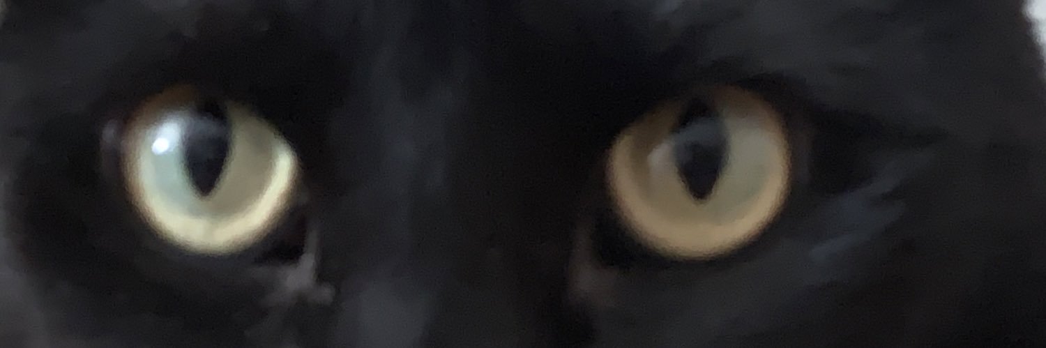 Kate93055 banner