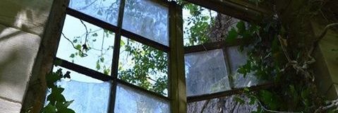 PumVaandrager's profile banner image
