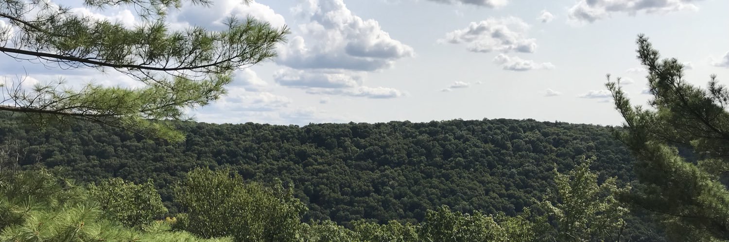 youngniek's profile banner image