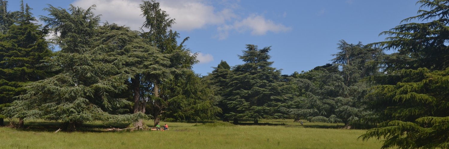 jiabrahams's profile banner image