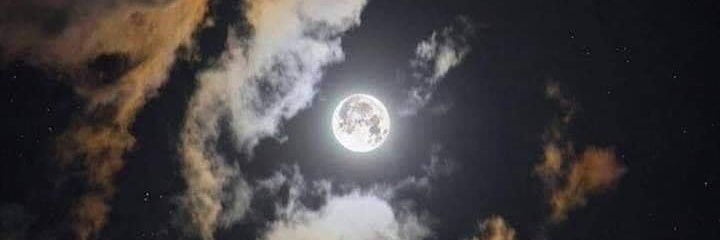 CastroAngieN's profile banner image