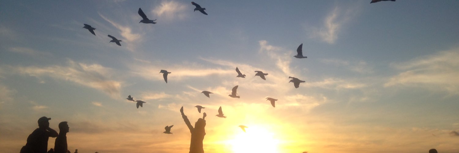 EllieSharp21's profile banner image
