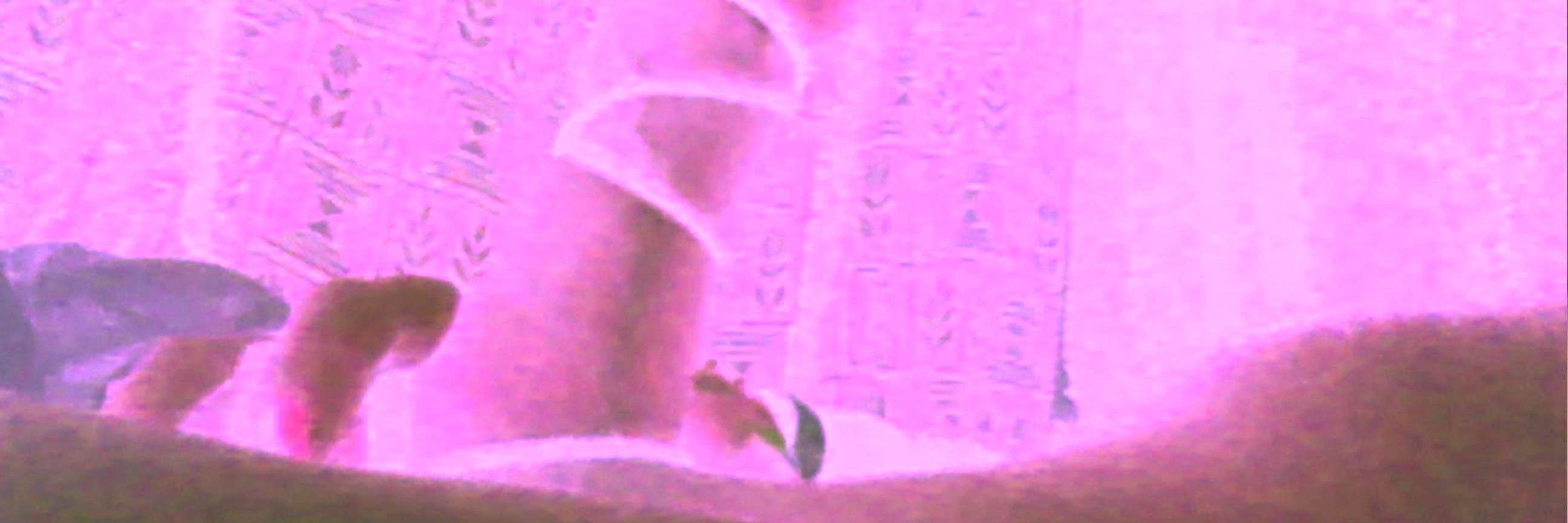 tentimesanight's profile banner image