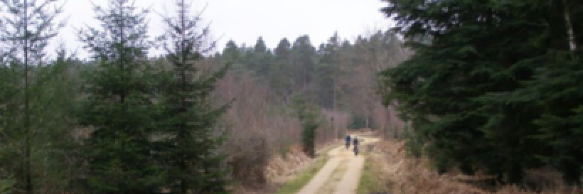 newforce_mtb's profile banner image