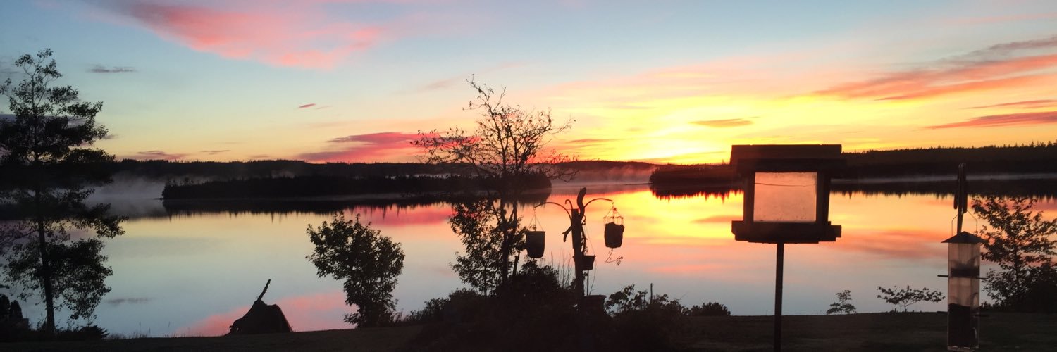 AngeliaPrest's profile banner image
