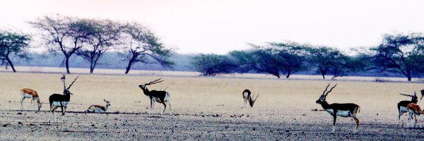 vishuguttal Profile Banner