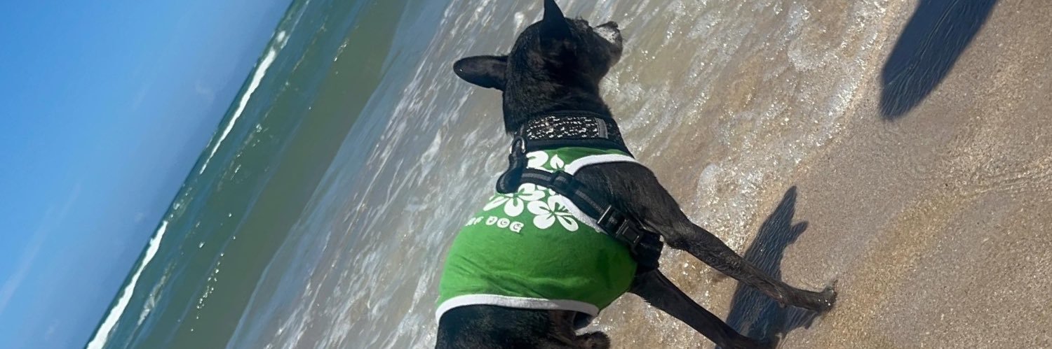 serwin0's profile banner image