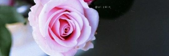 halah1436's profile banner image