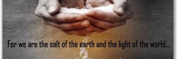 salt_foundation's profile banner image