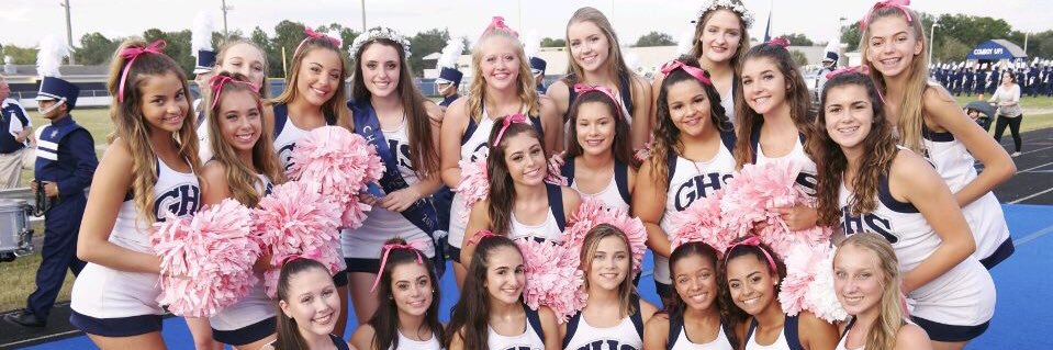 Gaither Cheer banner