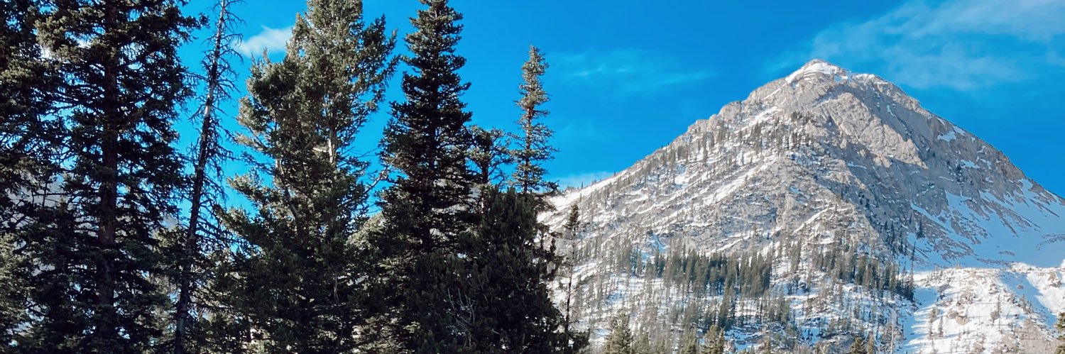 Hailey MacGillivray banner