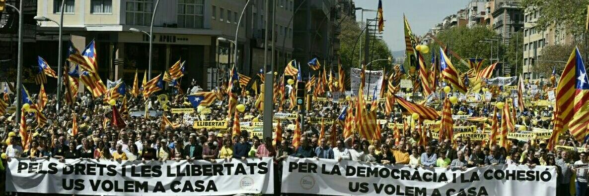 cmestre14's profile banner image