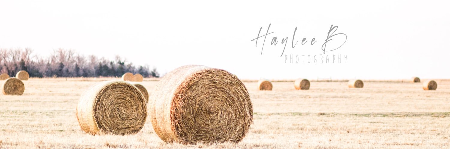 BHaylee31's profile banner image