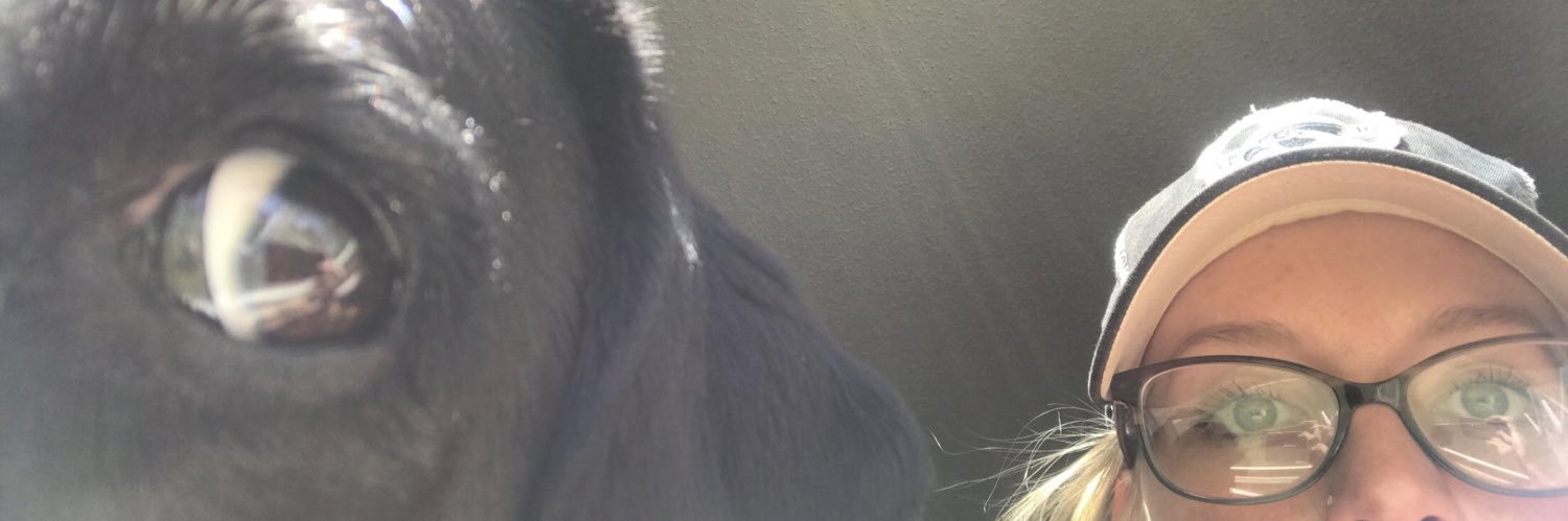 Callen_T's profile banner image