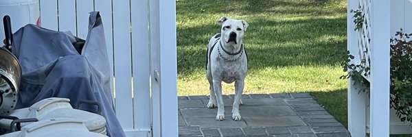 Djman_5 Profile Banner