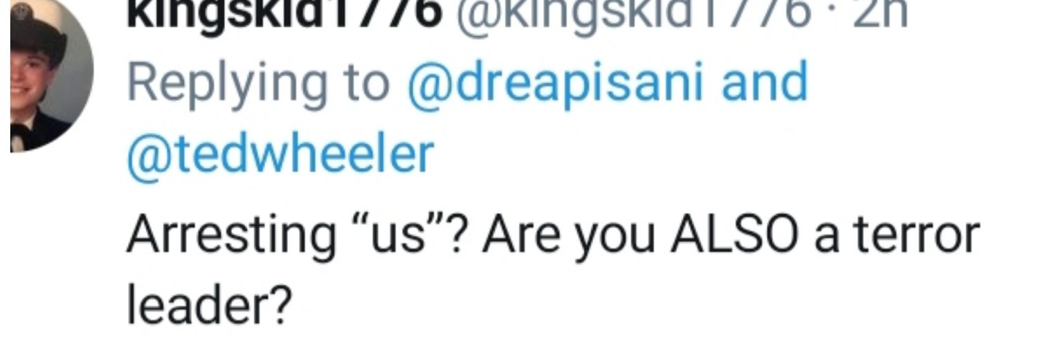 dreapisani's profile banner image