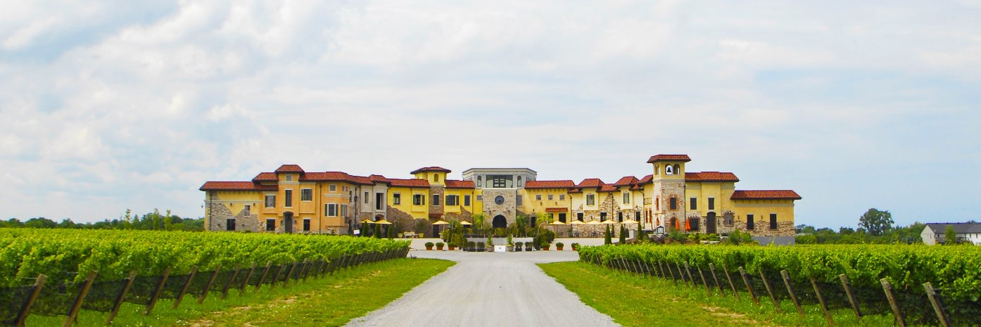 Colaneri Winery banner