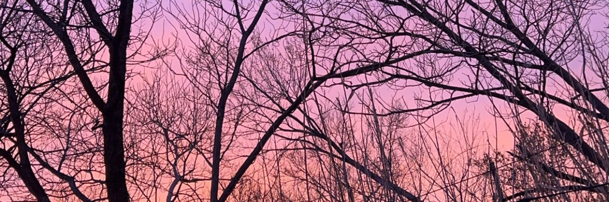 daisymoraless_'s profile banner image