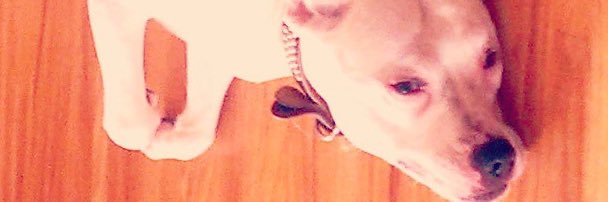 michaelang3lo_'s profile banner image