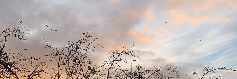 Ellenclare_x's profile banner image