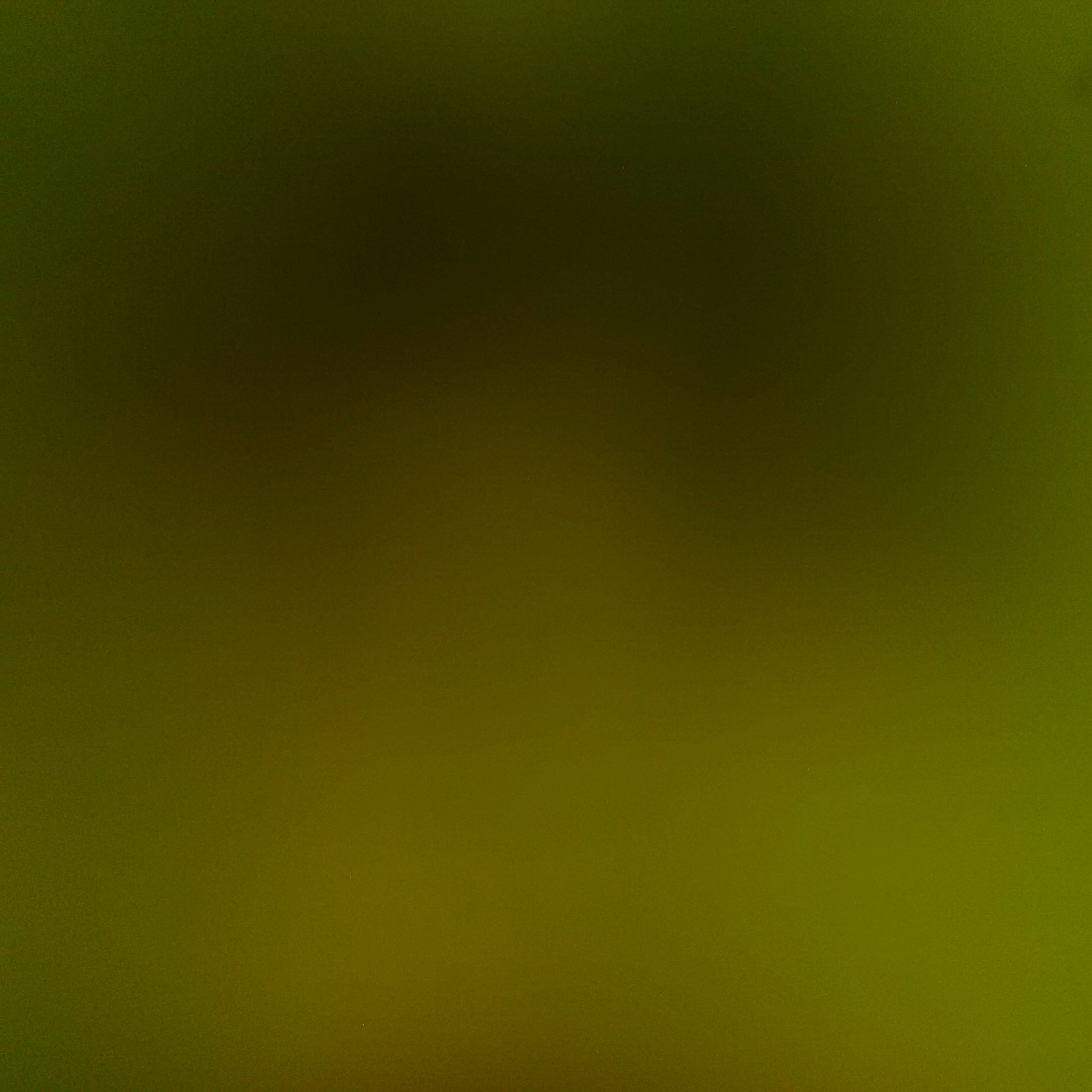 gregorymunten's profile banner image