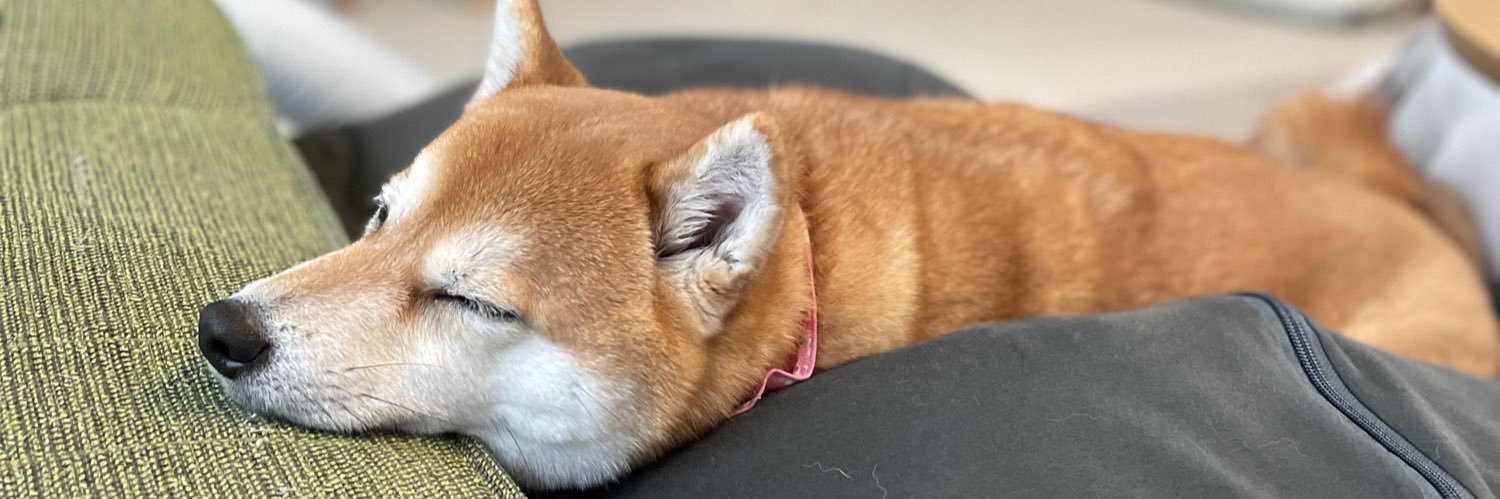 captainkym's profile banner image