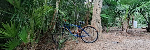 SergioMtransp Profile Banner