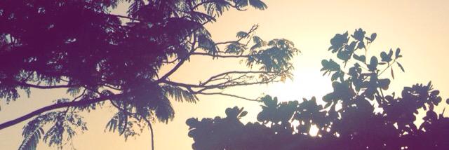 justleesa_'s profile banner image
