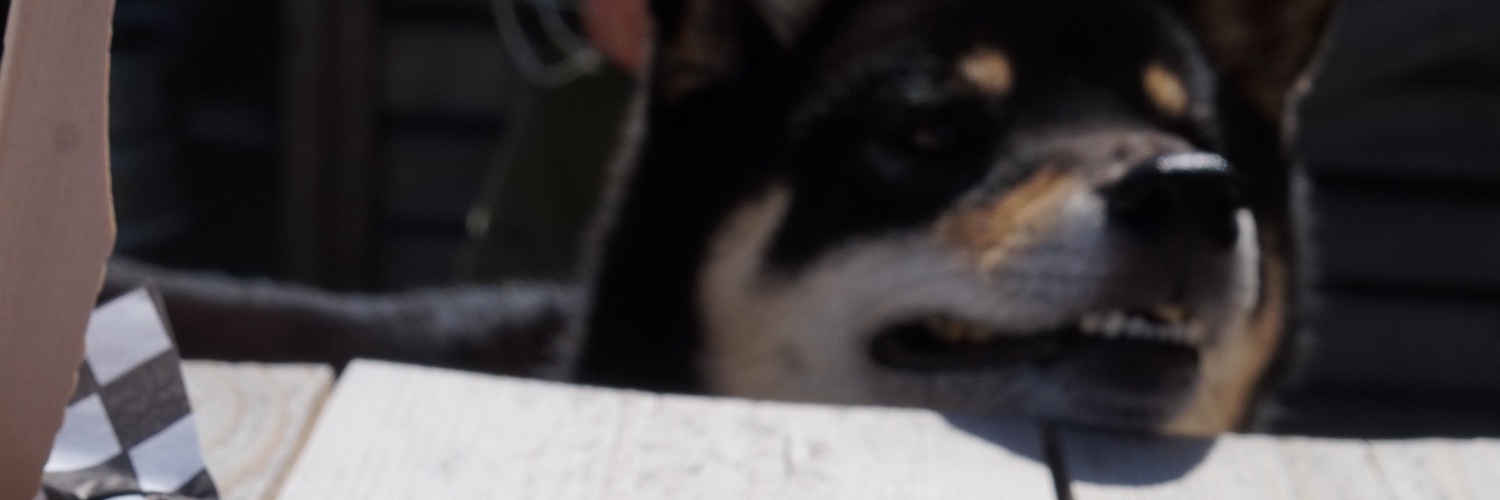 rmbrgn's profile banner image